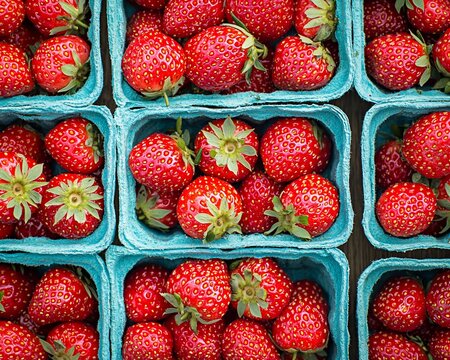 Fresh, ripe strawberries in teal pints.