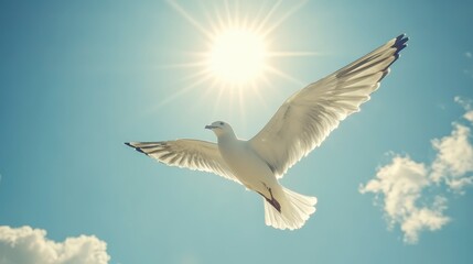 Obraz premium A bird soars through a vibrant blue sky, sunbeams radiating from a bright sun, fluffy white clouds scattered across the cerulean background. The bird