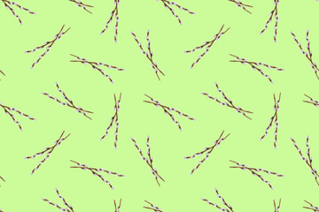 Spring seamless pattern with willow branches. Spring botanical background.