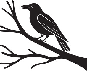 Obraz premium American Crow vector