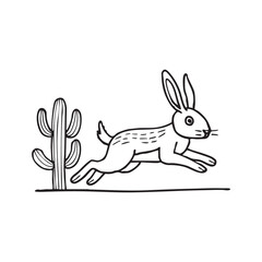 A jackrabbit sprinting across an open desert past a fallen cactus branch