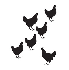 hen vector icon set. Farm illustration sign , hen silhouette isolated on white background. vector, Farm animals - white chicken - isolated on white background black hens silhouette   © Zohan