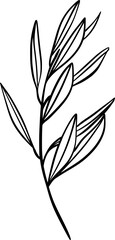 Leaf Lineart Illustration