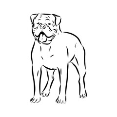 Alapaha Blue Blood Bulldog silhouette design