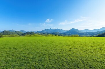 Expansive Green Meadow Under a Clear Blue Sky Surrounded by Rolling Mountains Evoking Peace and Serenity