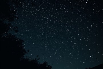 Starry night sky above dark trees.
