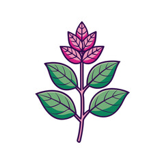  Vibrant Tulsi Flower Illustration