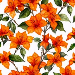 Orange Watercolor Bougainvillea Pattern Flower Floral Pattern on White Background