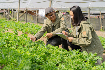 Agriculture technology farmers using tablet computer analysis data in a greenhouse.