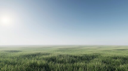 Obraz premium Misty Morning Meadow: A Serene Landscape