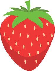 Garden strawberry fruit or strawberries flat color vector icon for food apps and websites