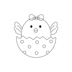 Cute  little chicken hatched from an egg.