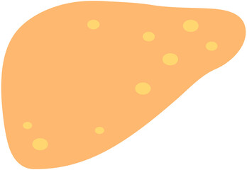Liver Icon
