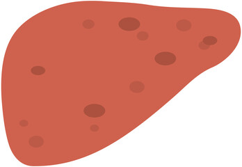 Liver Icon
