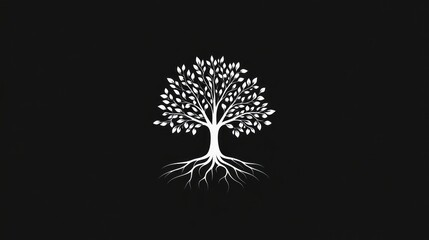 White tree roots dark background nature design