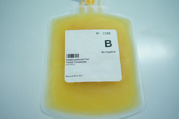 A single platelet bag labeled 