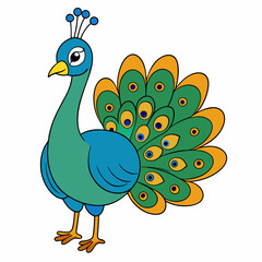 peacock vector illustration