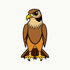 red tailed hawk