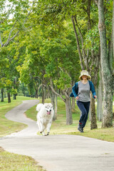A woman jogs alongside her Alaskan Malamute on a scenic park trail. This energetic Arctic breed, known for endurance and companionship, enjoys an active outdoor lifestyle.