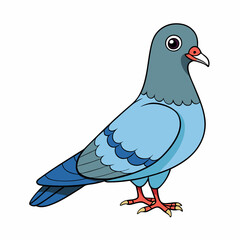 vector illustration of pigeon 