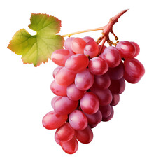 Fototapeta premium bunch of red grapes isolated on transparent white background, clipping path