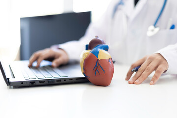 Doctor using a laptop with a human heart model on the desk