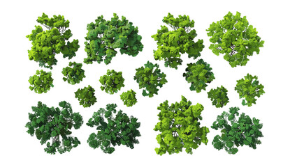 Aerial view evergreen trees, vector illustration, cutout shapes, transparent backgrounds, png, forest, nature, tree top view, green woodland, landscape elements, isolated, foliage, eco, design © aura studio