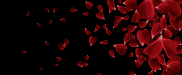 Red rose petals scattered on black background. Dark moody composition of flying crimson floral elements in motion for romantic design or wedding decor. Floating scarlet blooms for luxury banner.