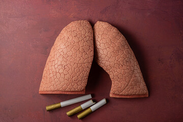 Lungs of human and  cigarettes. No Smoking Day concept on red background with copy space,