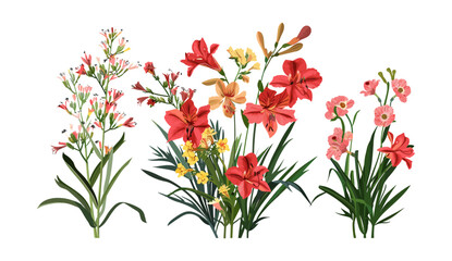 Wild flowers bouquet isolated on transparent background, 3d flowers PNG, nature design, 3d floral illustration, wild flower arrangement, transparent floral design, bouquet PNG