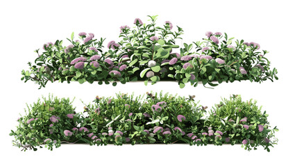 Ornamental flowery landscape bushes 3D rendering isolated PNG, decorative plants, nature background, lush green, vibrant flowers, botanical design, garden, nature illustration