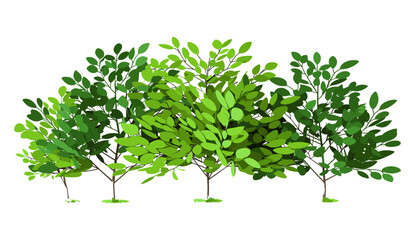 Fototapeta premium Transparent background greenery tree shape cut out, vector illustration 3d rendering png, eco, nature design, sustainable, forest, plant art, foliage background