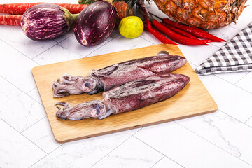 Raw fresh squid for cooking