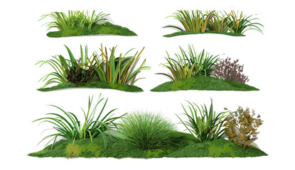 3d illustration, cut out nature, vector montage, grass design, png file, nature background, green grass, artistic nature, vector nature concept, creative grass