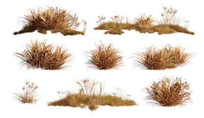Cutout dried grass, vector illustration, meadows set, 3D render PNG, savanna field, transparent backgrounds, wild flora, arid land, steppe grass, nature elements, eco-friendly, rustic scene