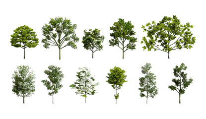 Obraz premium Vector illustration of 3D render trees set, cutout shapes for environmental design, PNG file, transparent backgrounds, green foliage, nature concept, landscape elements