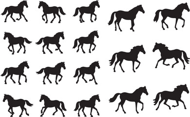 Big set of horses silhouettes, vector illustration and Isolated on white Background