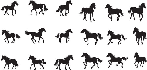 Big set of horses silhouettes, vector illustration and Isolated on white Background