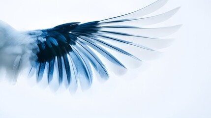 Naklejka premium Minimalist, abstract shapes in blue and black on a white background 