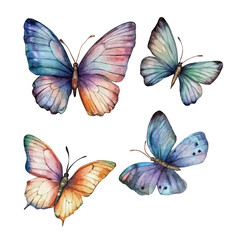 set of colorful butterflies isolated on transparent white background, clipping path