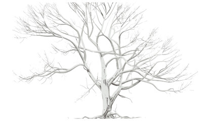 Obraz premium White wooden tree vector illustration, die cut tree, isolated on transparent background, PNG tree illustrations, decorative silhouette tree, abstract wood design, forest element, art clipart