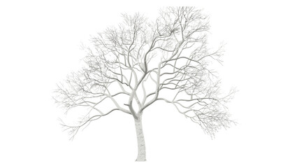 Fototapeta premium Vector illustration of white wooden tree, die cut tree silhouette, isolated on transparent background, PNG format, nature design, rustic tree clipart, artistic wood element, decorative