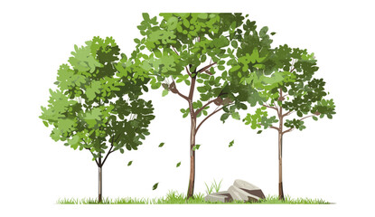Obraz premium Eco nature vector illustration, trees growth, standing isolate, transparent backgrounds, green environment, reforestation, sustainability, woodland, conservation, plant ecology, landscape