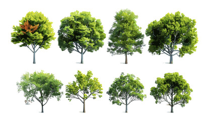Fototapeta premium Isolated tree collections, vector illustration of environmental woods, eco landscape, cutout nature, green forest, tree silhouettes, natural habitats, woodland scenery, sustainable forest