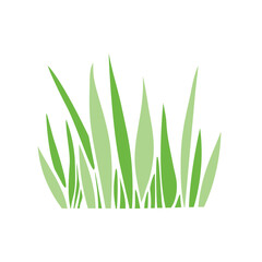 Fototapeta premium A bunch of green grass. Hand drawn color vector illustration, clip art in flat style, isolated. Nature theme.