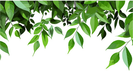 Green leaves vector illustration, vibrant environmental cutout on transparent backgrounds, png, eco foliage, nature clipart, isolated leaf design, fresh greenery, botanical element