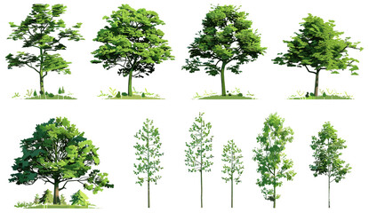 Green trees vector illustration for landscape clipart, transparent background, nature forms, eco-friendly, nature clipart, tree shapes, forest illustrations, landscape designs, outdoor