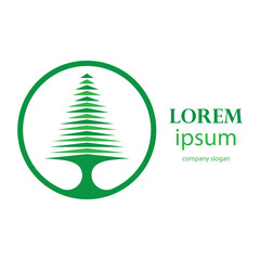 pine tree logo design in the afternoon