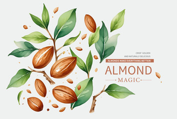 Watercolor Brush of Almonds on Branch collection