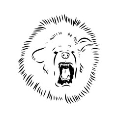 Tibetan Mastiff dog hand drawn sketch. Rare purebred dog illustration.